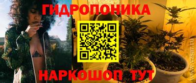 стаф Будённовск