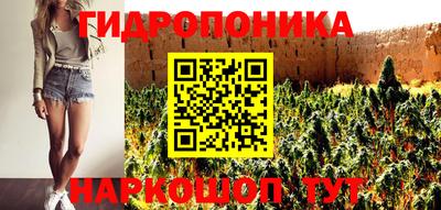 стаф Будённовск