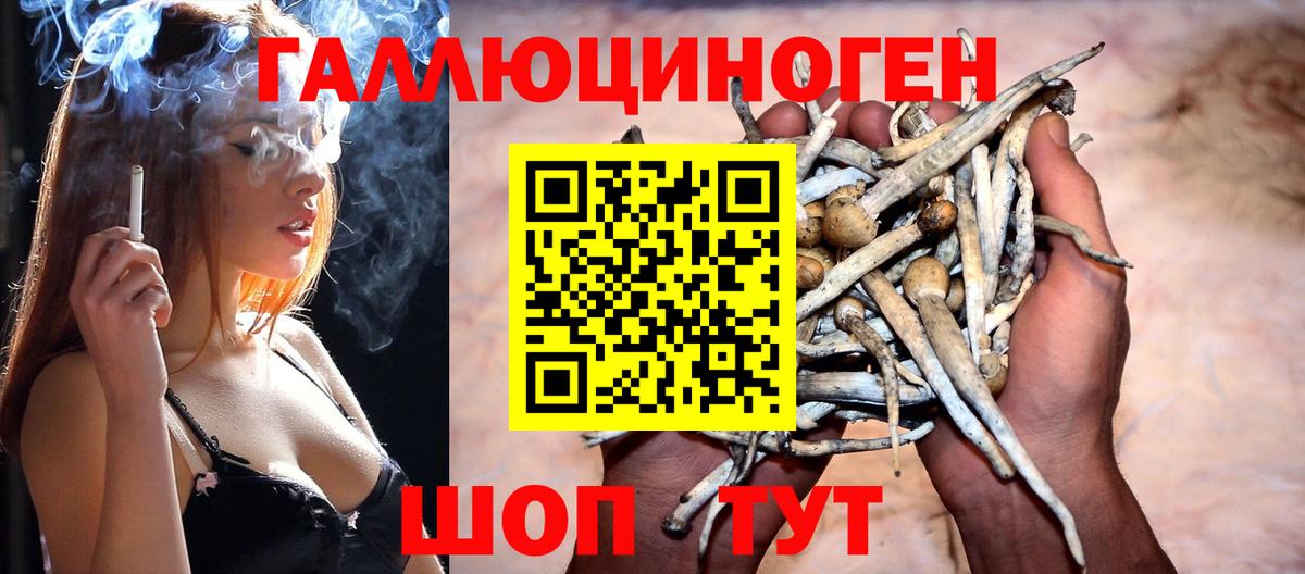 Кстово  Псилоцибиновые грибы Psilocybine cubensis  Вход с VPN  Псилоцибиновые грибы Magic Shrooms 
