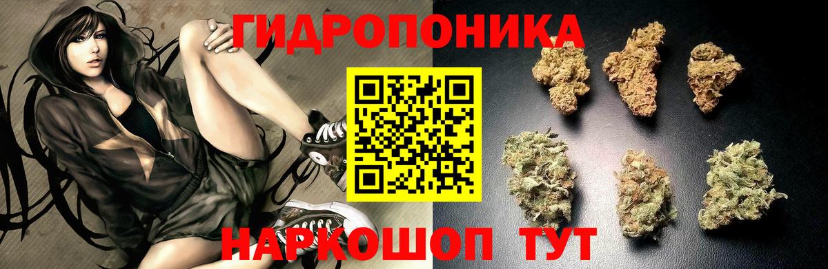 Бошки марихуана сатива Кстово